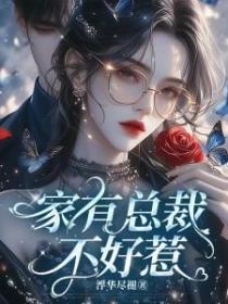 家有总裁，不好惹！