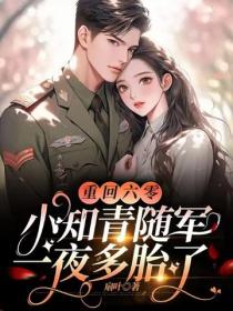 重回六零:小知青随军一夜多胎了