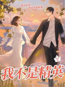 我不是精英(雷佳音、邓家佳主演同名影视原著)