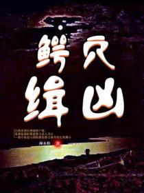 鳄穴缉凶