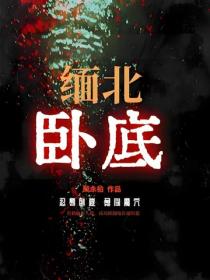 缅北卧底
