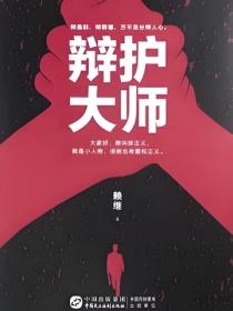 辩护大师