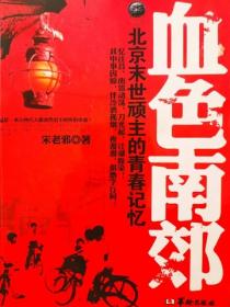 血色南郊：北京末世顽主的青春记忆