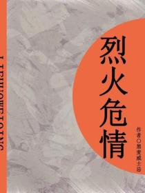 烈火危情（短篇）