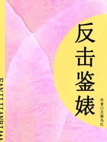 反击鉴婊（短篇）