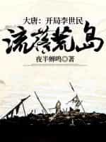 大唐:开局李世民流落荒岛