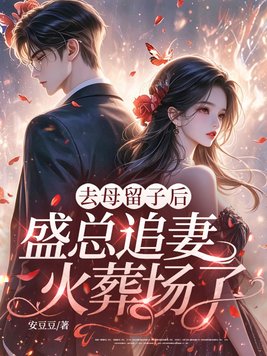 去母留子后，盛总追妻火葬场了