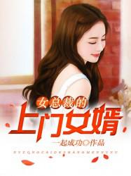 医婿小说