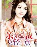 总裁,情深不浅