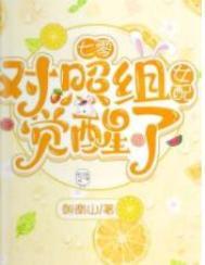七零:对照组女配觉醒了