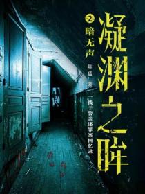 凝渊之眸2:暗无声