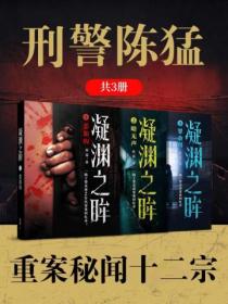 刑警陈猛:重案秘闻十二宗(共3册)