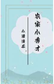 农家小秀才