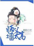 师父,墙太高
