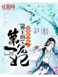 夫君轻点疼：邪王的第一宠妃