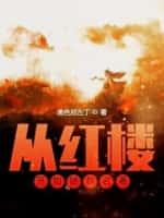 从红楼开始拯救名著