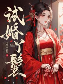 试婚丫鬟