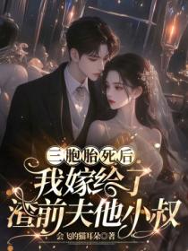 三胞胎死后,我嫁给了渣前夫他小叔