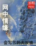 网中情缘