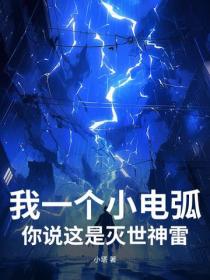 我一个小电弧,你说这是灭世神雷?