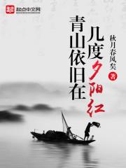 青山依旧在,几度夕阳红