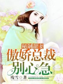 秘制甜妻:傲娇总裁别心急