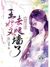 启禀王爷：王妃又去爬墙了