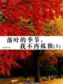落叶的季节，我不再孤独（上）