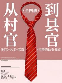 从村官到县官（全四册）