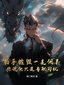 抬手摧毁一支佣兵,你说他只是专职司机