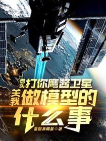 老头打你鹰酱卫星，关我做模型的什么事
