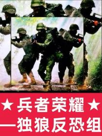 兵者荣耀：独狼反恐组