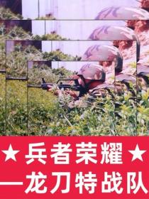 兵者荣耀：龙刀特战队