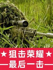 狙击荣耀：最后一击